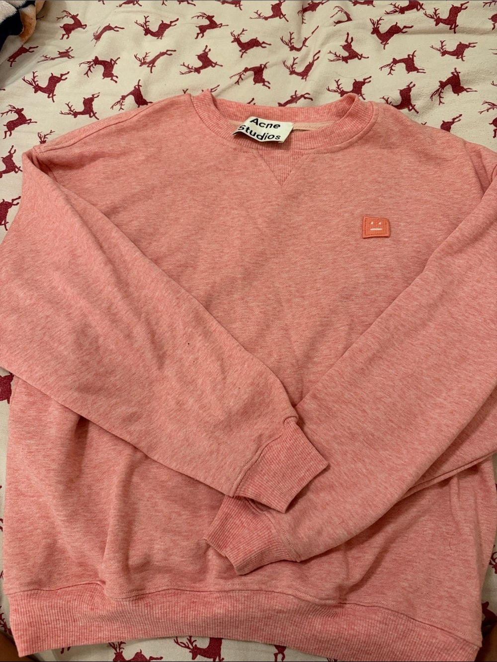 Acne Women's Coral Crewneck Sweatshirt